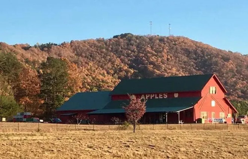 Stratford Motor Inn East Ellijay near Gilmer County Apple Orchards